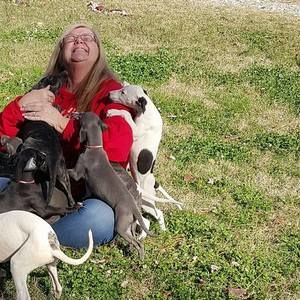 Meet your Posher, Dawn